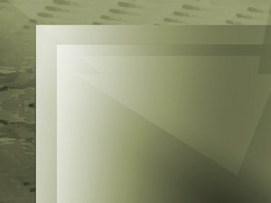 实用主义的关务管理操作手册